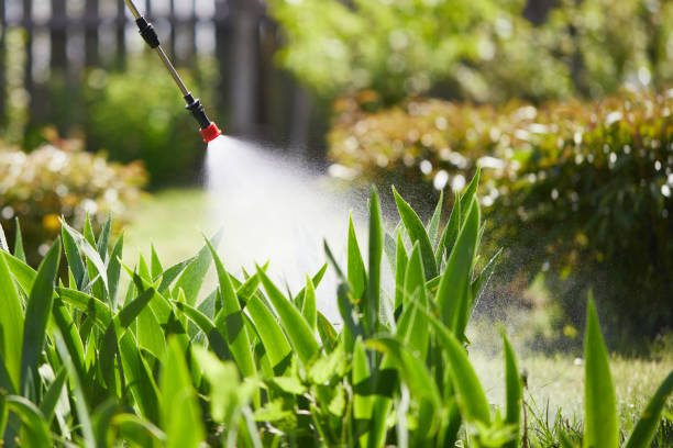 Tamper-Resistant Bait Stations for Rodents in Somers