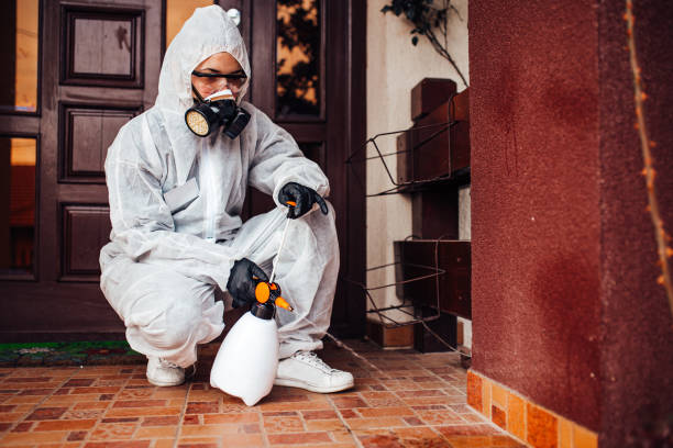 Attic and Crawl Space Rodent Treatment in Somers