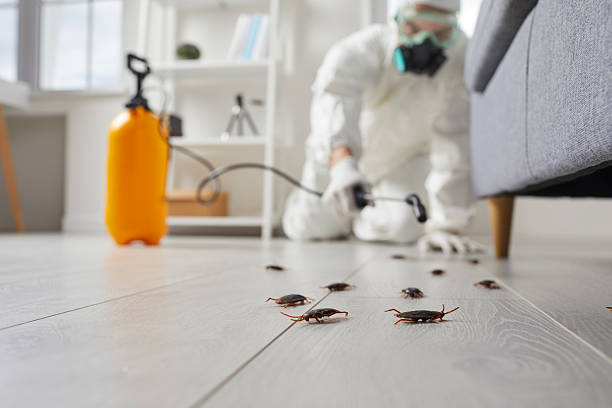 Commercial Rodent Management in Somers